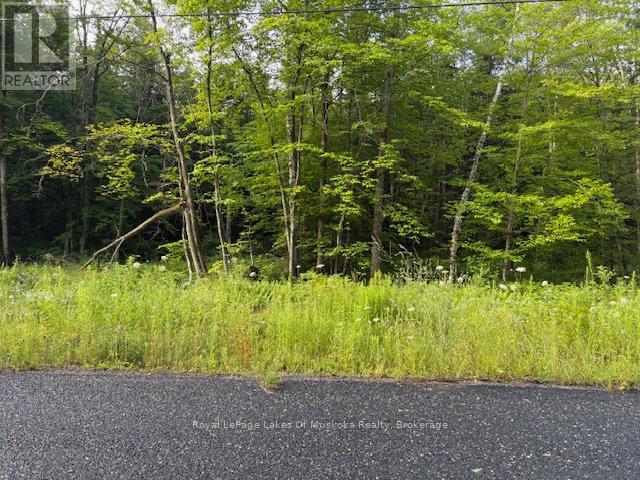 60 Summer Leigh Trail, Huntsville, Ontario P0B 1M0 - Photo 7 - X12946170