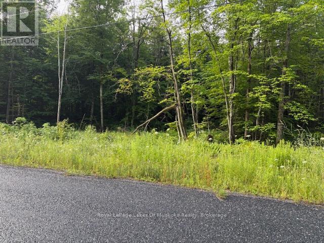 60 Summer Leigh Trail, Huntsville, Ontario P0B 1M0 - Photo 9 - X12946170