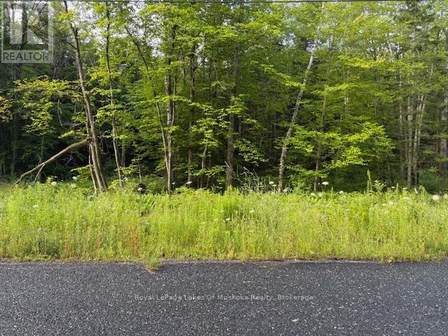 47 Summer Leigh Trail, Huntsville, Ontario P0B 1M0 - Photo 3 - X12946200