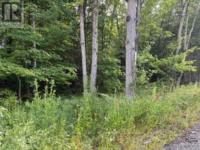 47 Summer Leigh Trail, Huntsville, Ontario P0B 1M0 - Photo 5 - X12946200