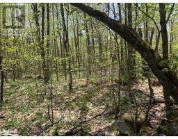 2376 SOUTH HORN LAKE ROAD, ryerson, Ontario