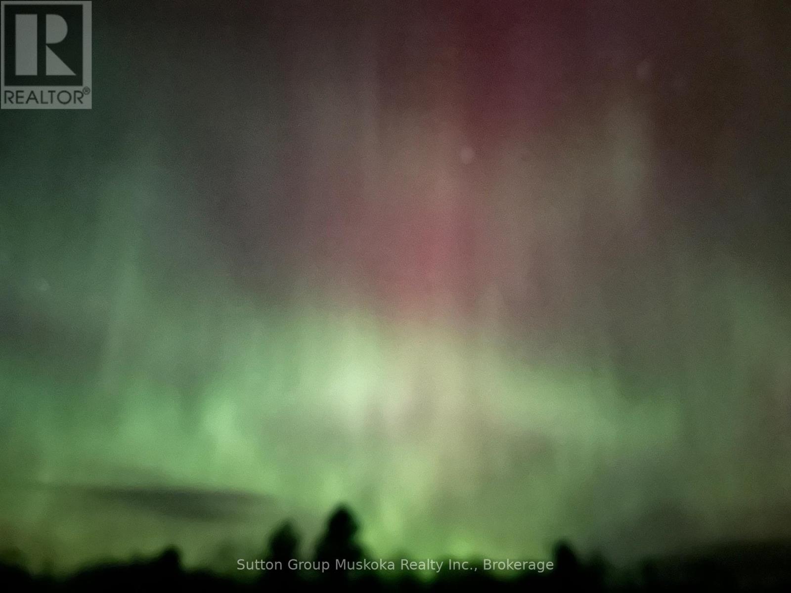 879 Relative Road N, Armour, Ontario  P0A 1C0 - Photo 6 - X12946380