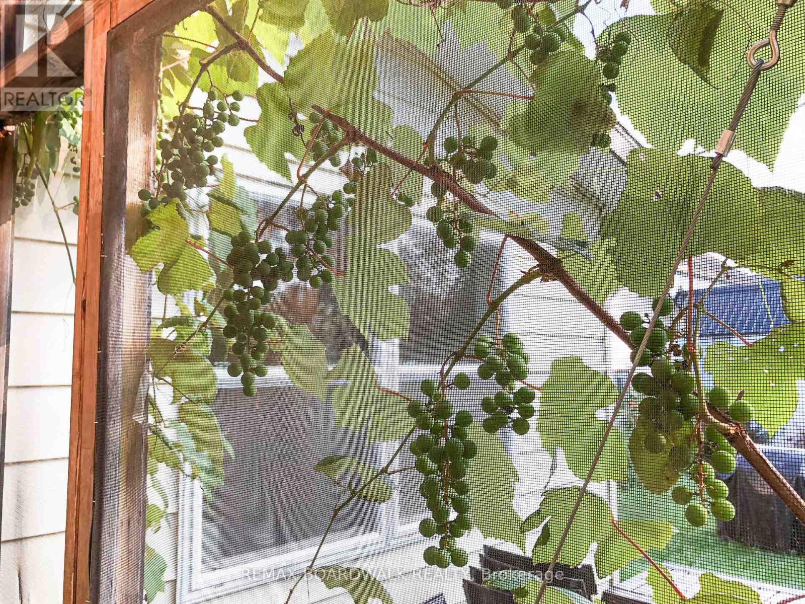 32 Cockburn Street, Perth, Ontario  K7H 2B2 - Photo 24 - X12946122