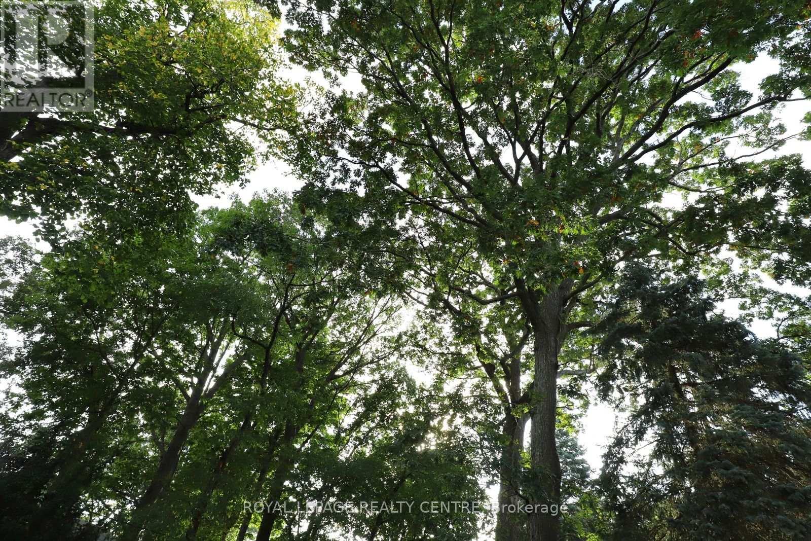 3338 Enniskillen Circle, Mississauga, Ontario  L5C 2M8 - Photo 42 - W12946292