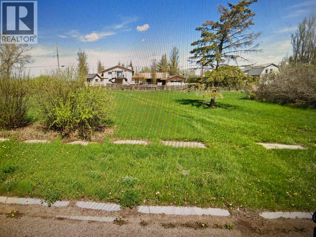 142 1 Avenue W, Craigmyle, Alberta  T0J 0T0 - Photo 3 - A2231849