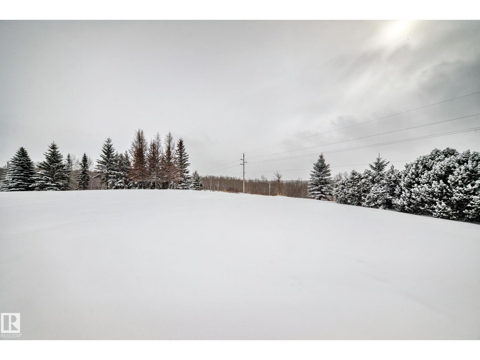 #3 53333 Rge Road 20, Rural Parkland County, Alberta  T7Y 0C4 - Photo 57 - E4480012