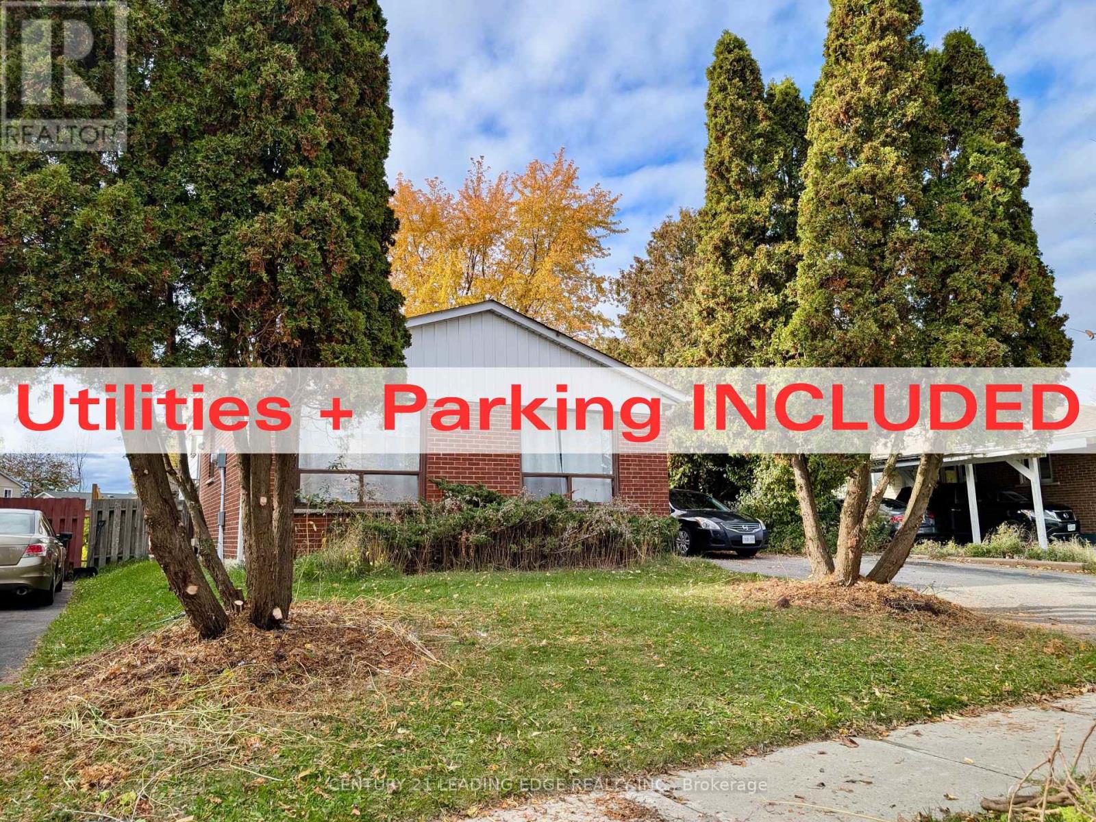 LOWER - 48 SNOWBALL CRESCENT, Toronto, Ontario