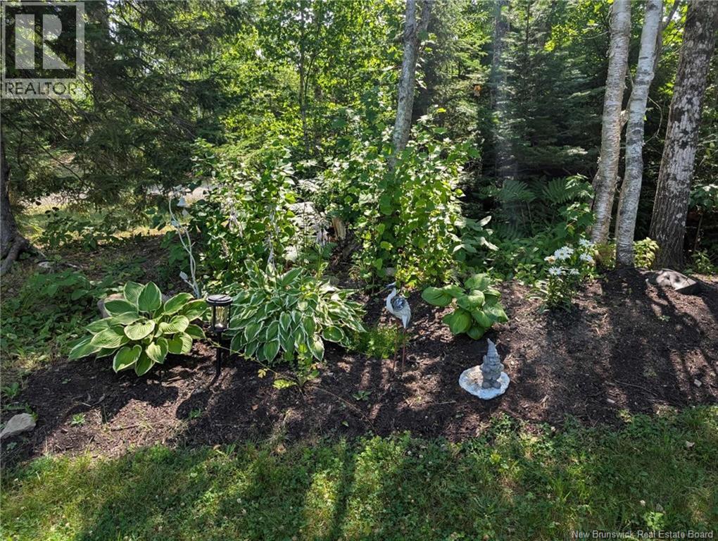 74 Bellefield Road, Lower Coverdale, New Brunswick  E1J 0B1 - Photo 42 - NB135755