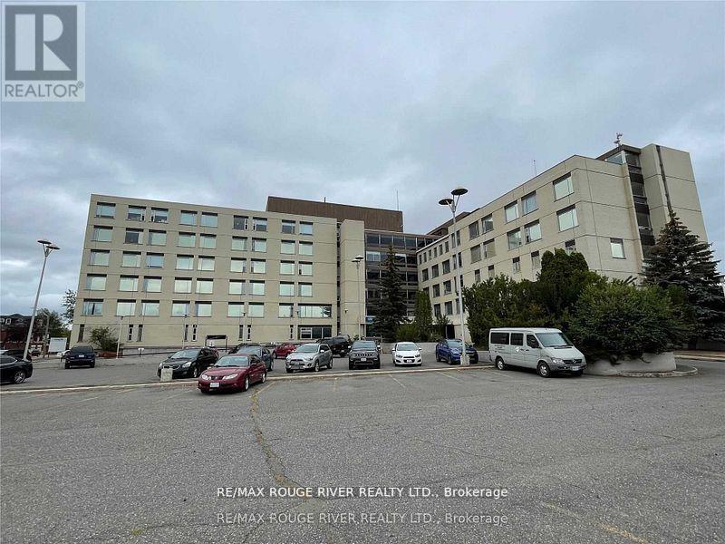 325 Archibald Street S, Thunder Bay, Ontario  P7E 1G6 - Photo 6 - X12946546