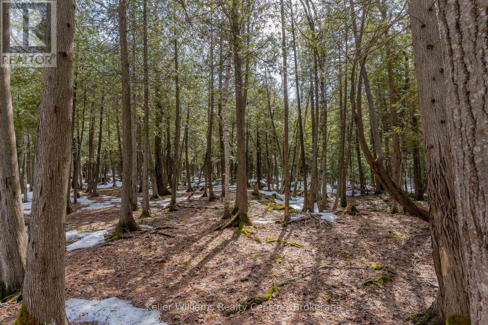 51 Cedar Trail, South Bruce Peninsula, Ontario  N0H 2T0 - Photo 39 - X12946838