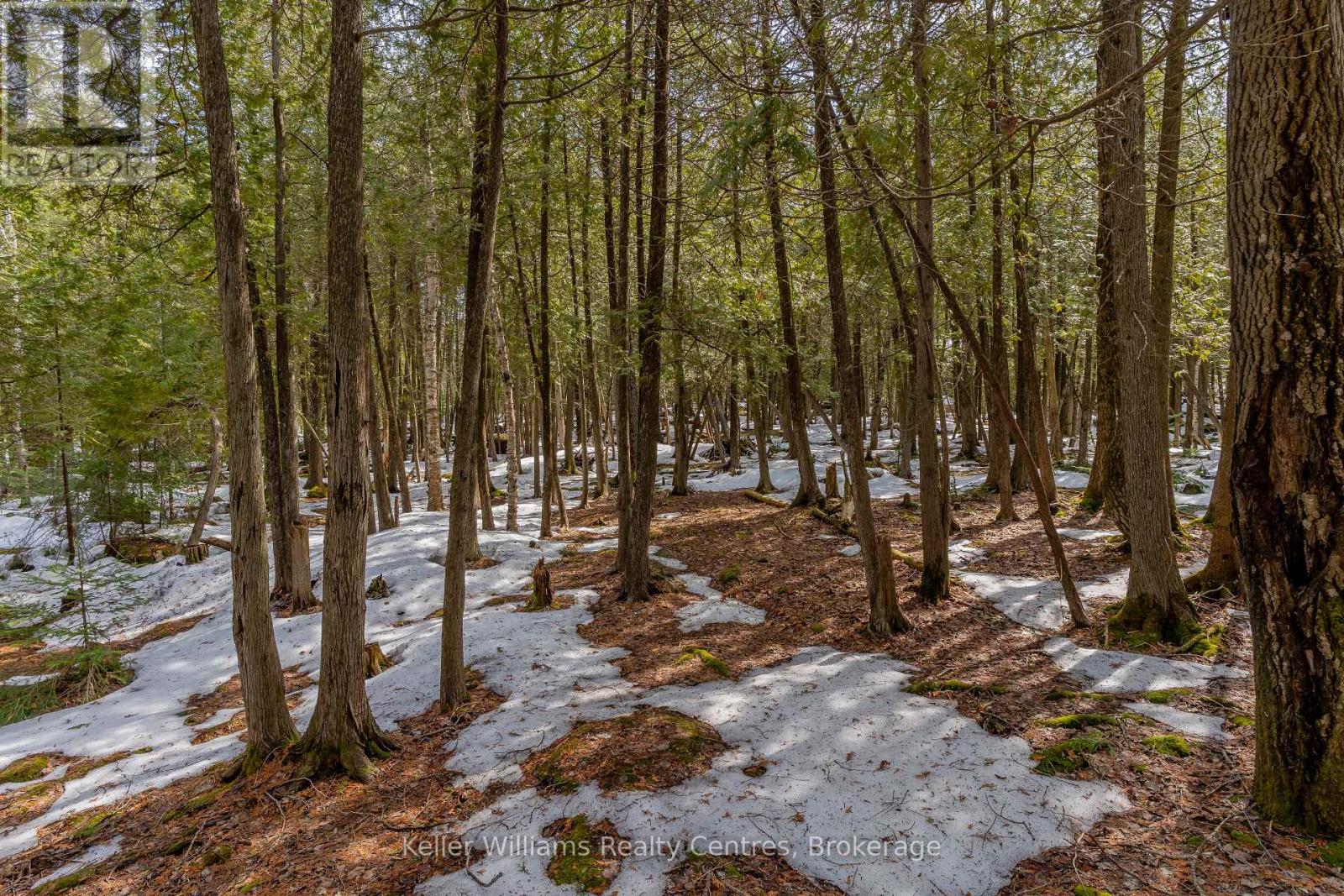 51 Cedar Trail, South Bruce Peninsula, Ontario  N0H 2T0 - Photo 40 - X12946838