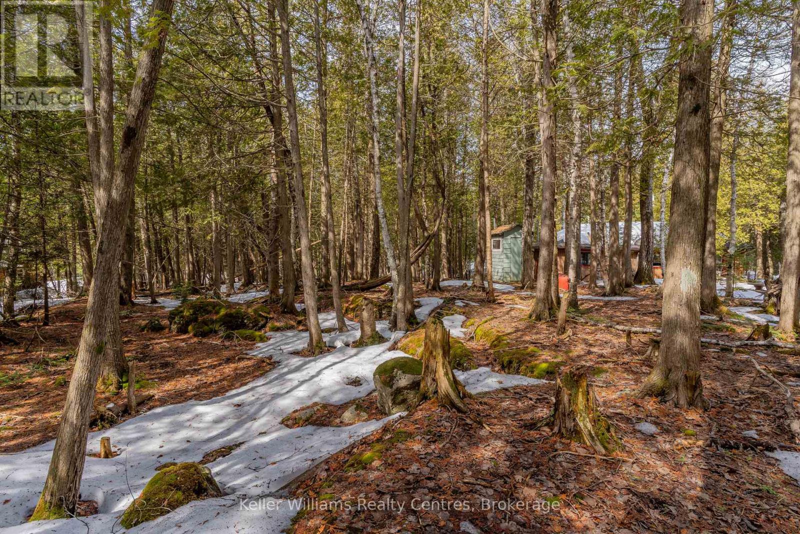 51 Cedar Trail, South Bruce Peninsula, Ontario  N0H 2T0 - Photo 42 - X12946838