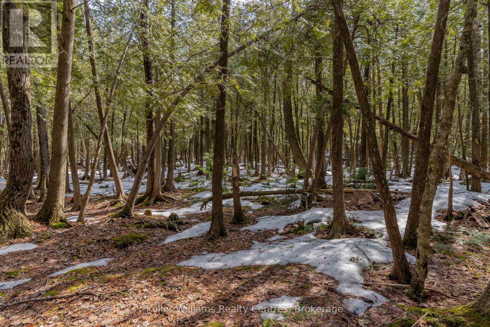 51 Cedar Trail, South Bruce Peninsula, Ontario  N0H 2T0 - Photo 44 - X12946838