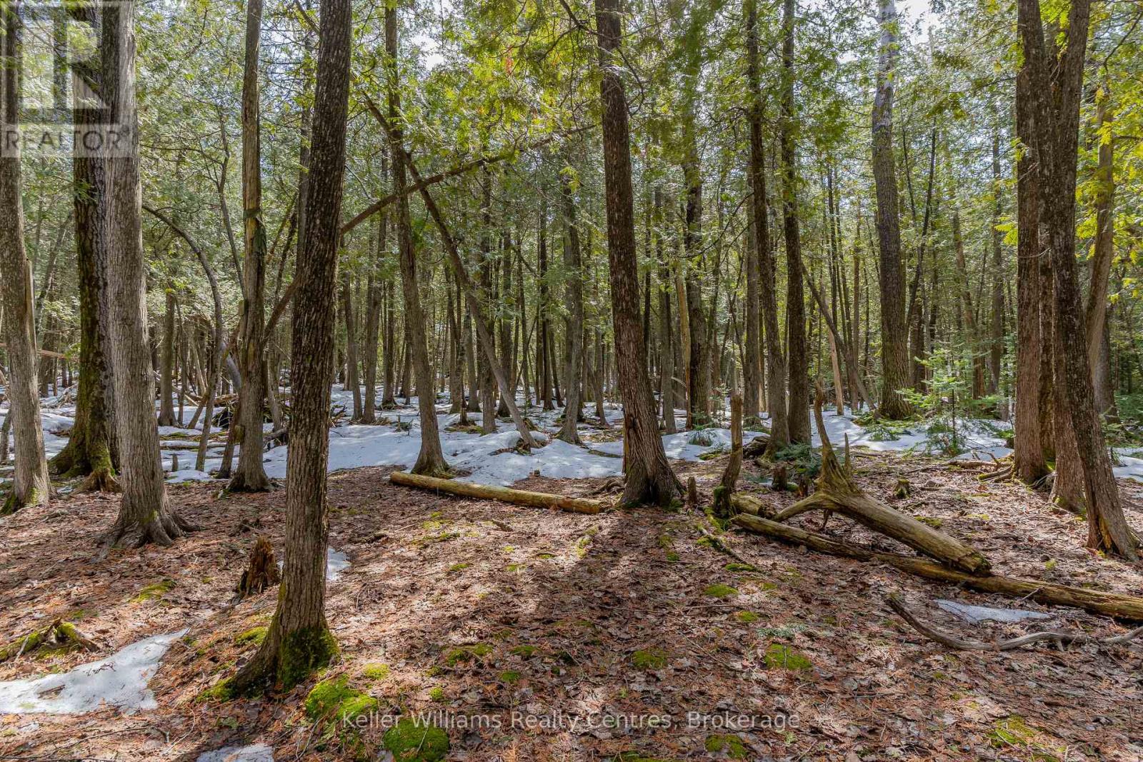 51 Cedar Trail, South Bruce Peninsula, Ontario  N0H 2T0 - Photo 45 - X12946838