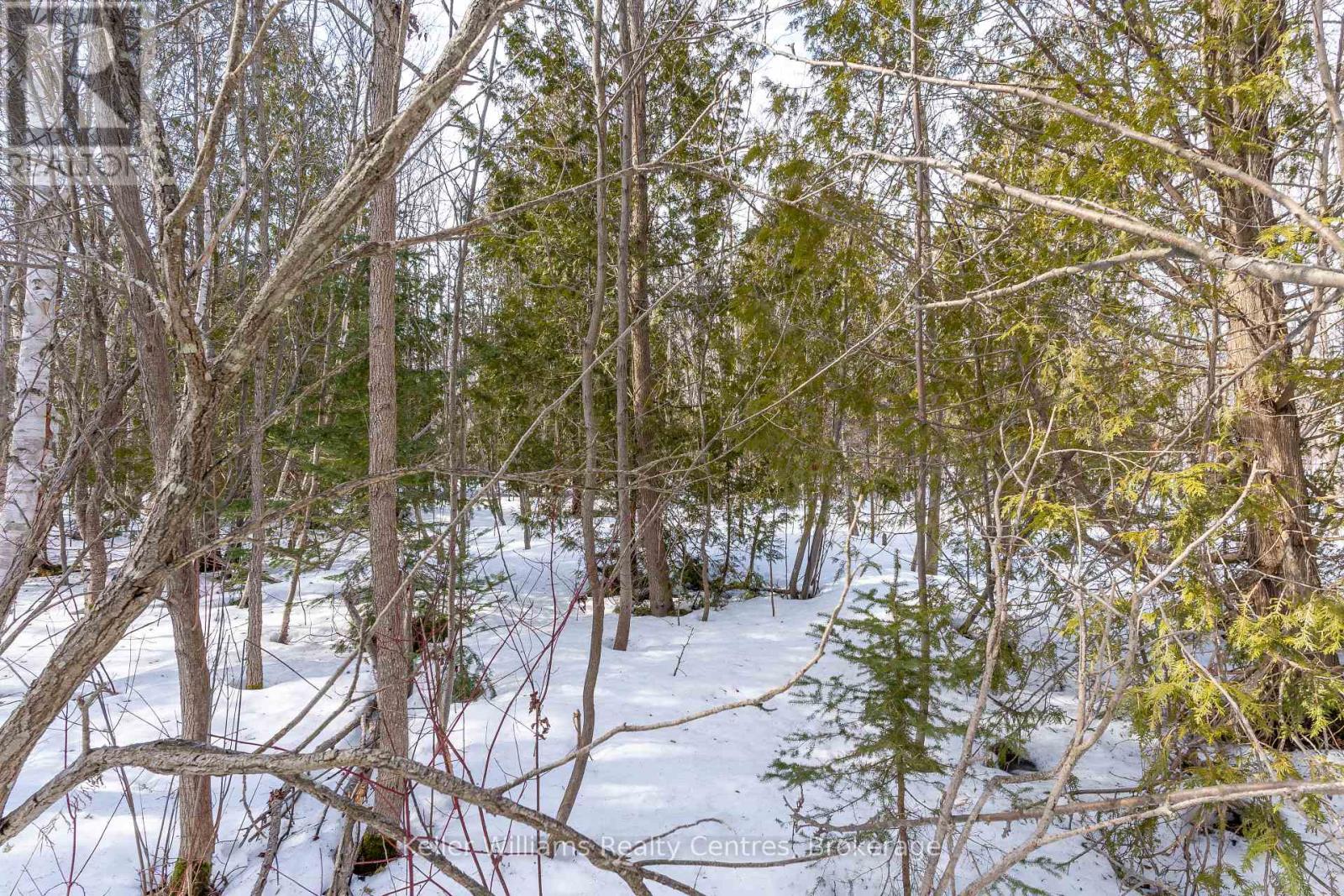 Pt Lt 23 Maple Drive, Northern Bruce Peninsula, Ontario  N0H 1Z0 - Photo 10 - X12946858