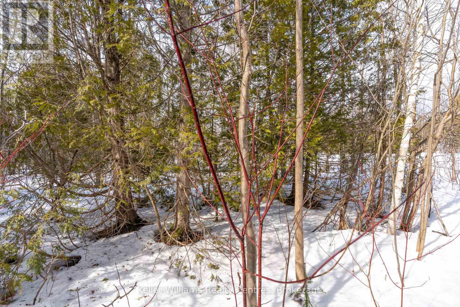 Pt Lt 23 Maple Drive, Northern Bruce Peninsula, Ontario  N0H 1Z0 - Photo 11 - X12946858