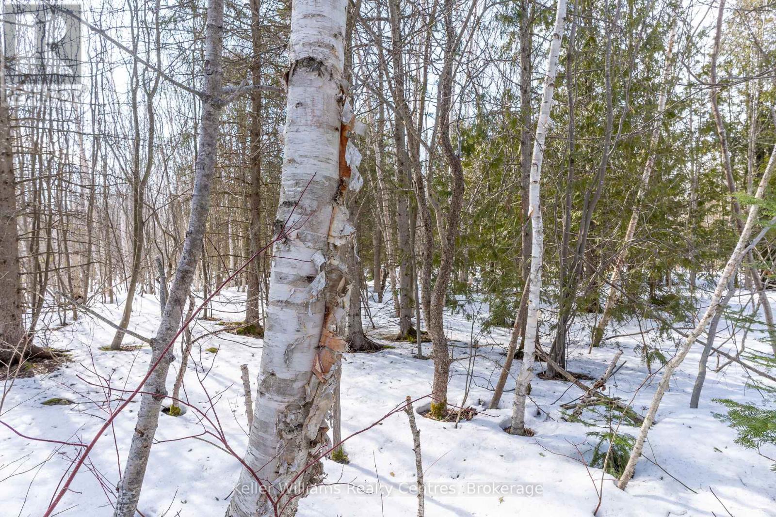 Pt Lt 23 Maple Drive, Northern Bruce Peninsula, Ontario  N0H 1Z0 - Photo 12 - X12946858