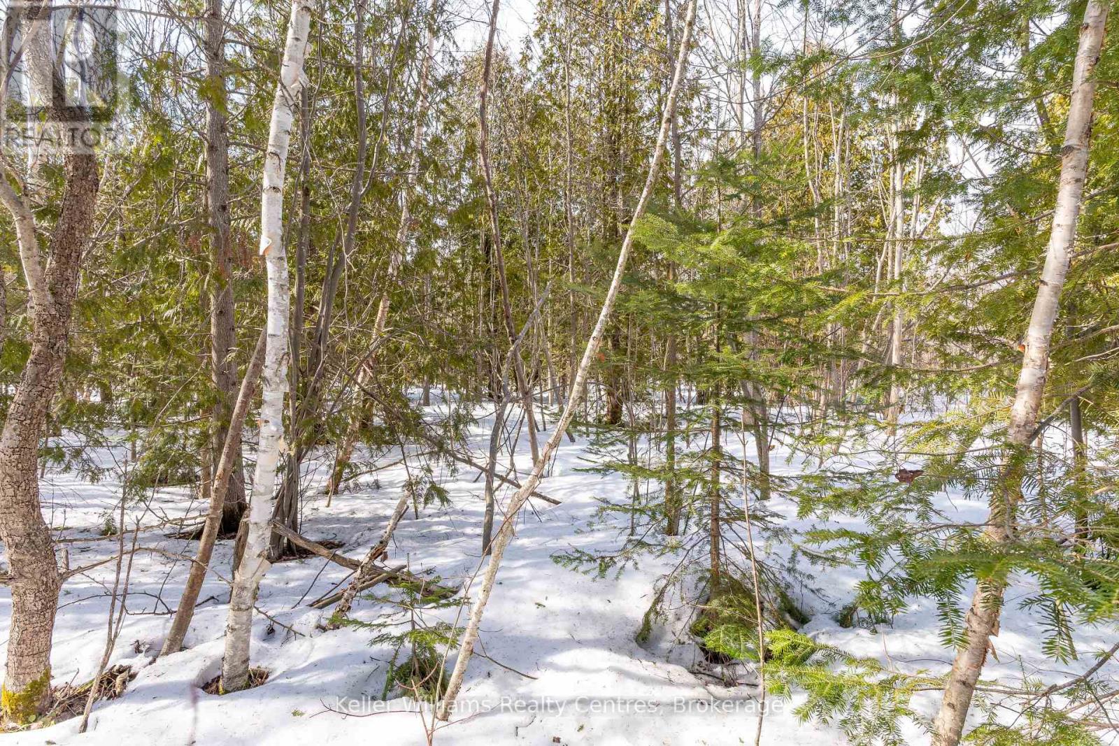 Pt Lt 23 Maple Drive, Northern Bruce Peninsula, Ontario  N0H 1Z0 - Photo 13 - X12946858