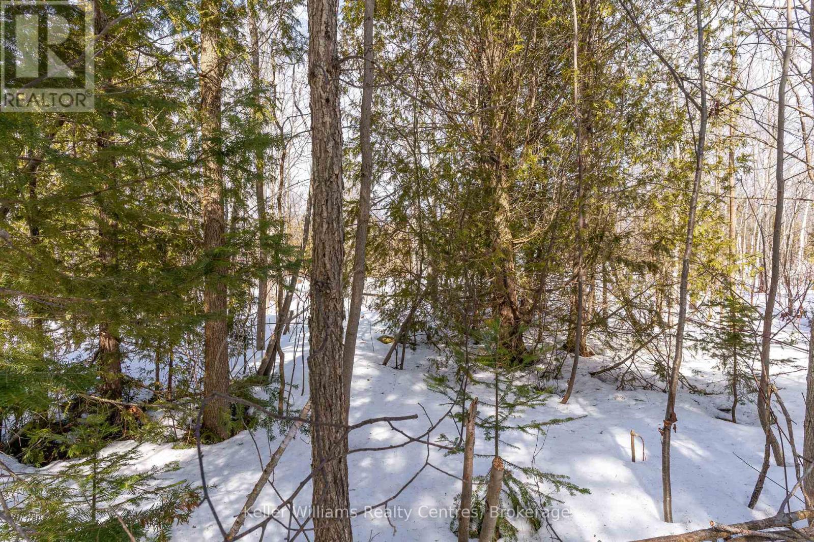 Pt Lt 23 Maple Drive, Northern Bruce Peninsula, Ontario  N0H 1Z0 - Photo 14 - X12946858