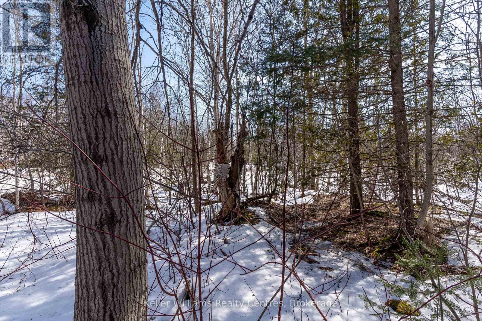 Pt Lt 23 Maple Drive, Northern Bruce Peninsula, Ontario  N0H 1Z0 - Photo 15 - X12946858