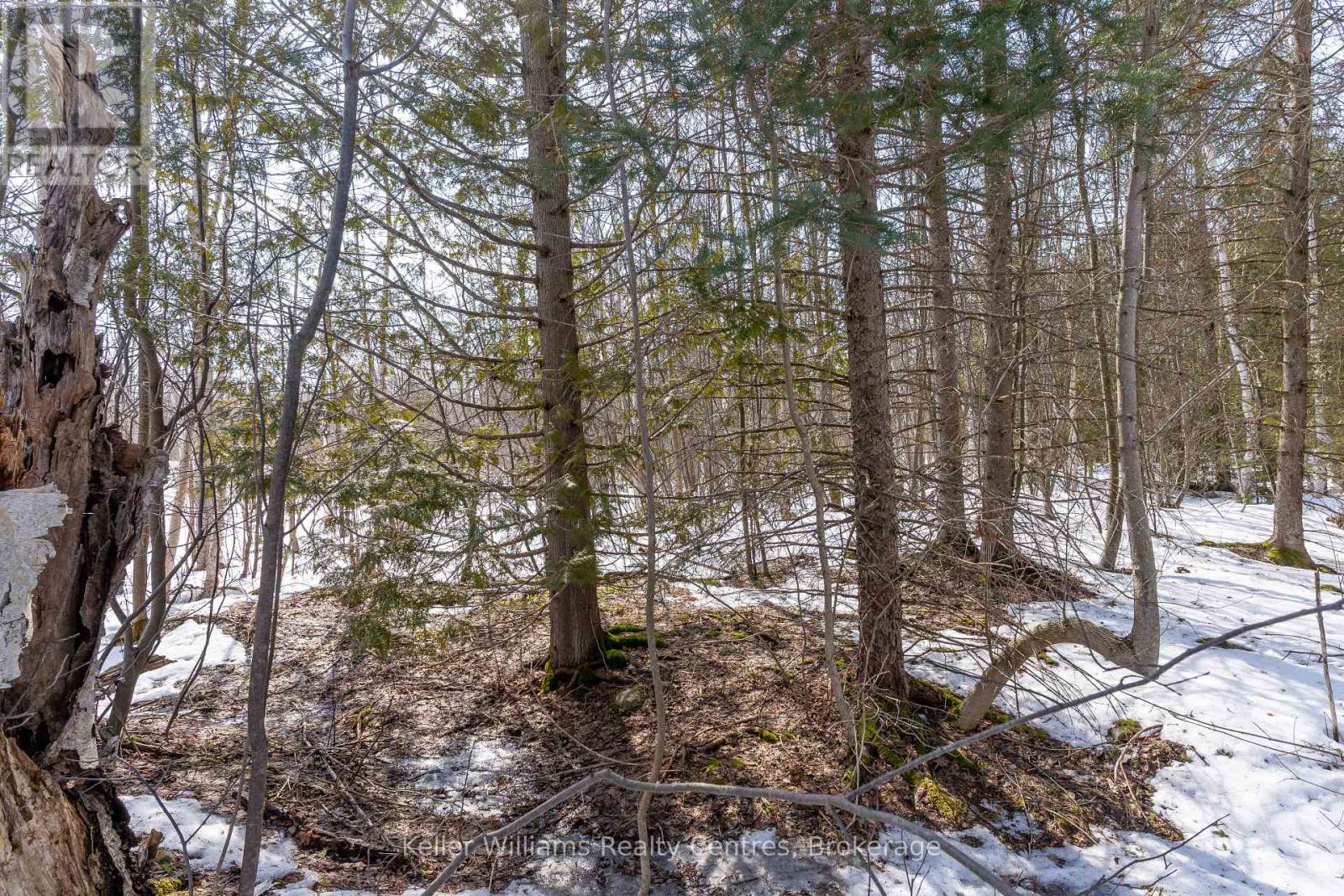 Pt Lt 23 Maple Drive, Northern Bruce Peninsula, Ontario  N0H 1Z0 - Photo 16 - X12946858