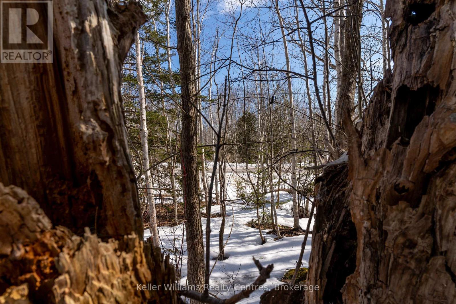 Pt Lt 23 Maple Drive, Northern Bruce Peninsula, Ontario  N0H 1Z0 - Photo 17 - X12946858