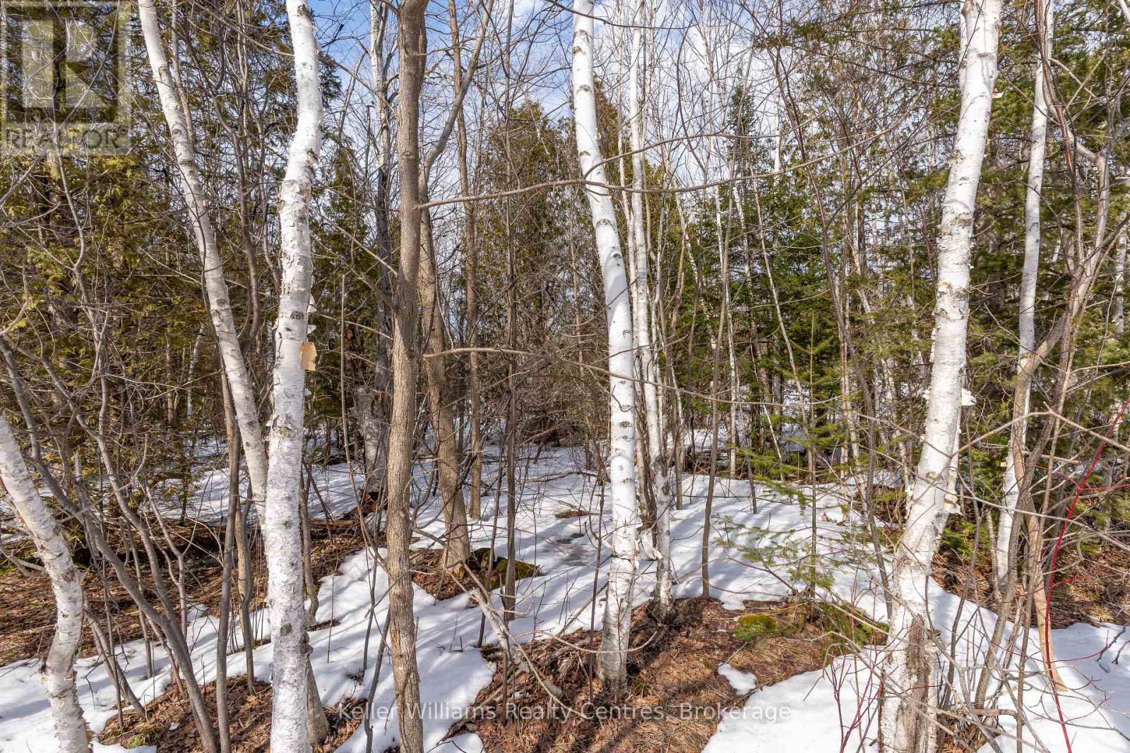Pt Lt 23 Maple Drive, Northern Bruce Peninsula, Ontario  N0H 1Z0 - Photo 18 - X12946858