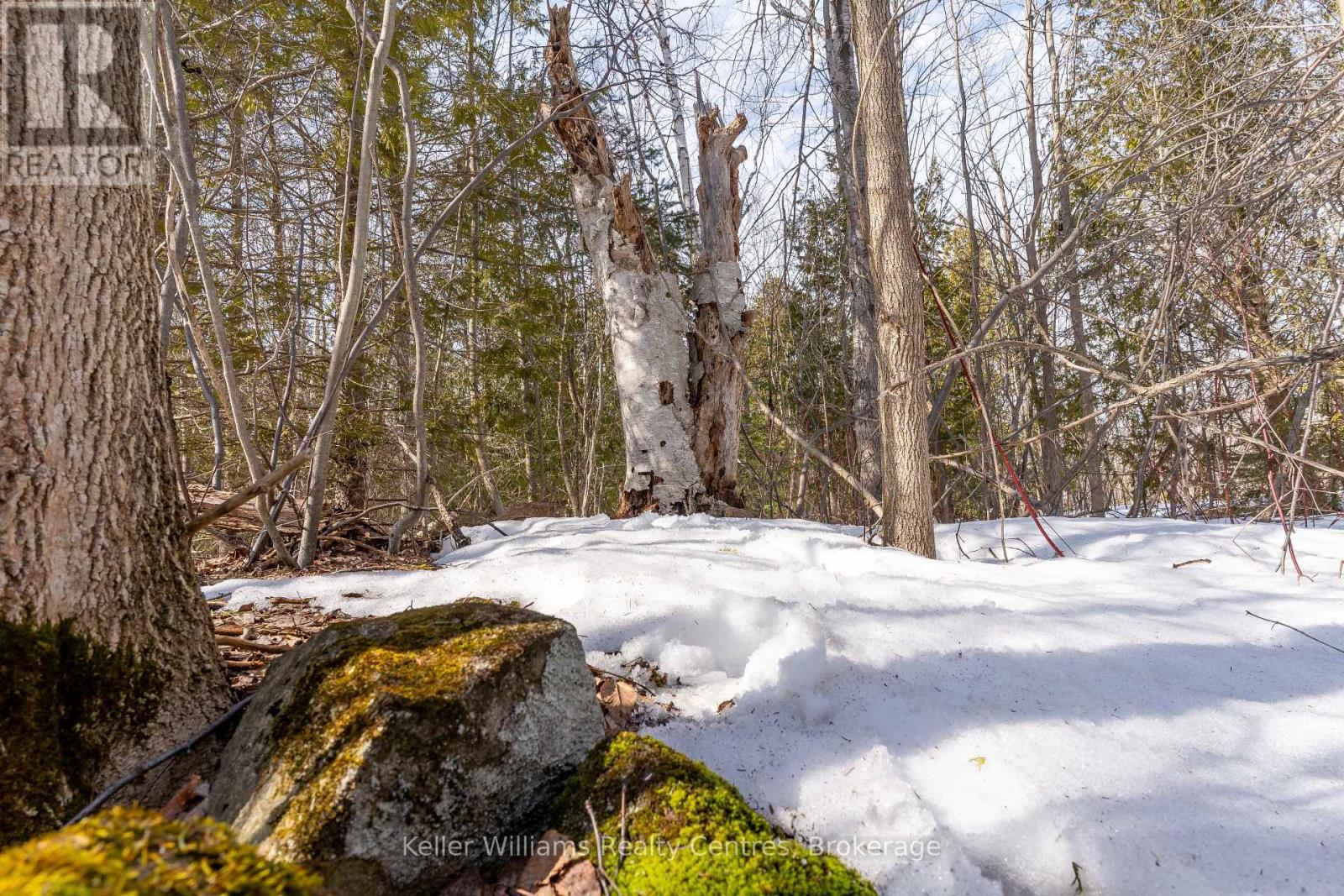 Pt Lt 23 Maple Drive, Northern Bruce Peninsula, Ontario  N0H 1Z0 - Photo 19 - X12946858