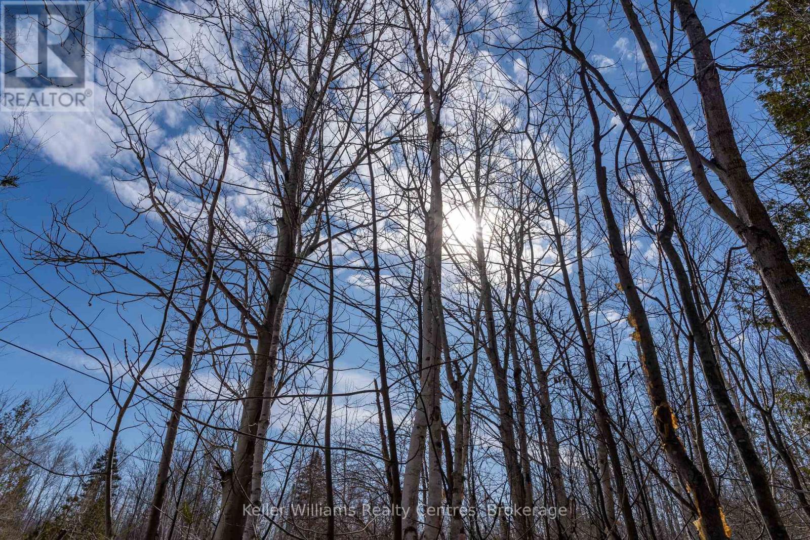 Pt Lt 23 Maple Drive, Northern Bruce Peninsula, Ontario  N0H 1Z0 - Photo 7 - X12946858