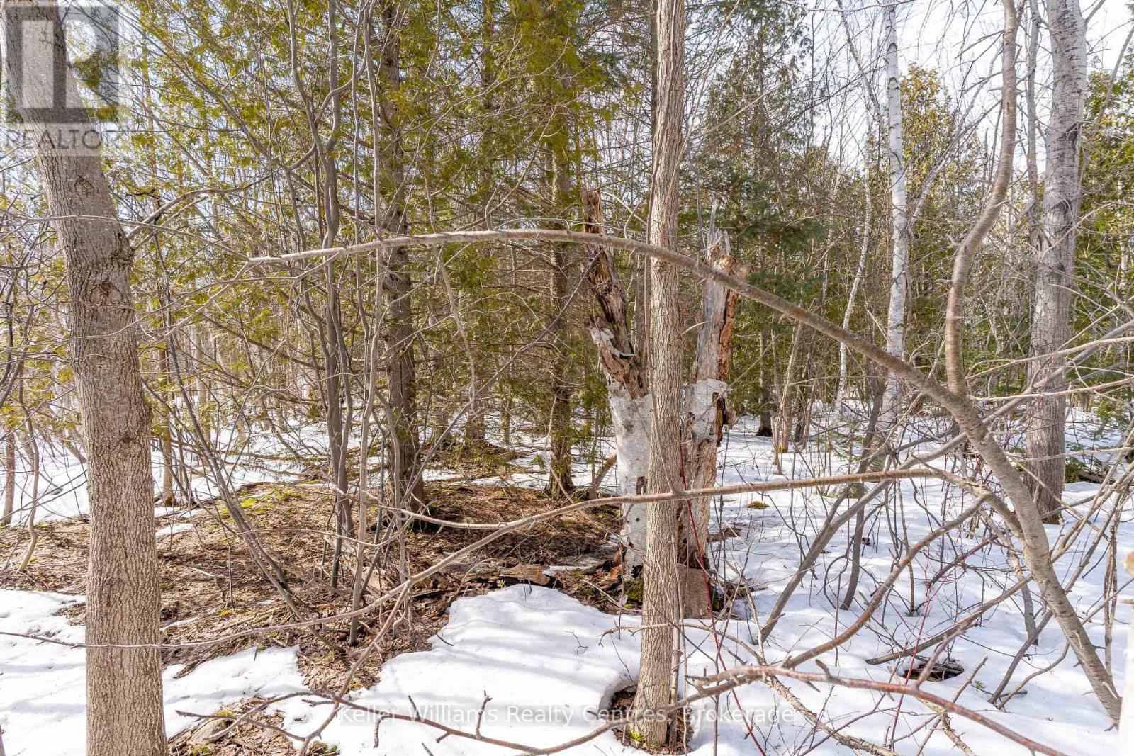 Pt Lt 23 Maple Drive, Northern Bruce Peninsula, Ontario  N0H 1Z0 - Photo 8 - X12946858