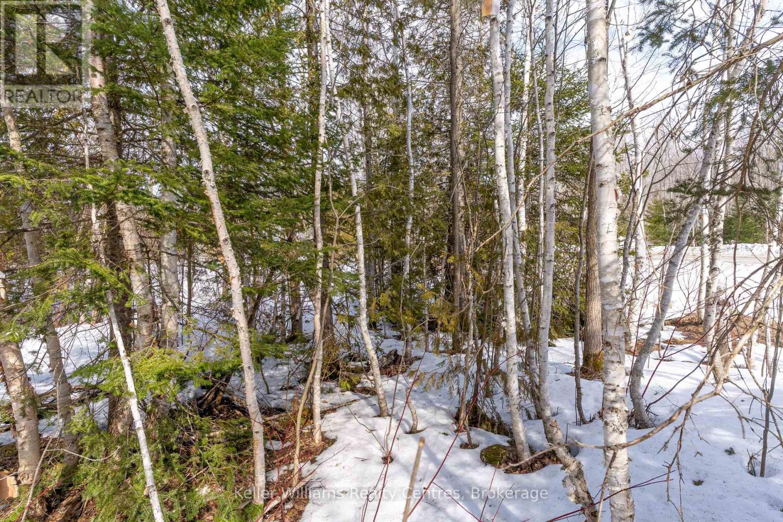 Pt Lt 23 Maple Drive, Northern Bruce Peninsula, Ontario  N0H 1Z0 - Photo 9 - X12946858