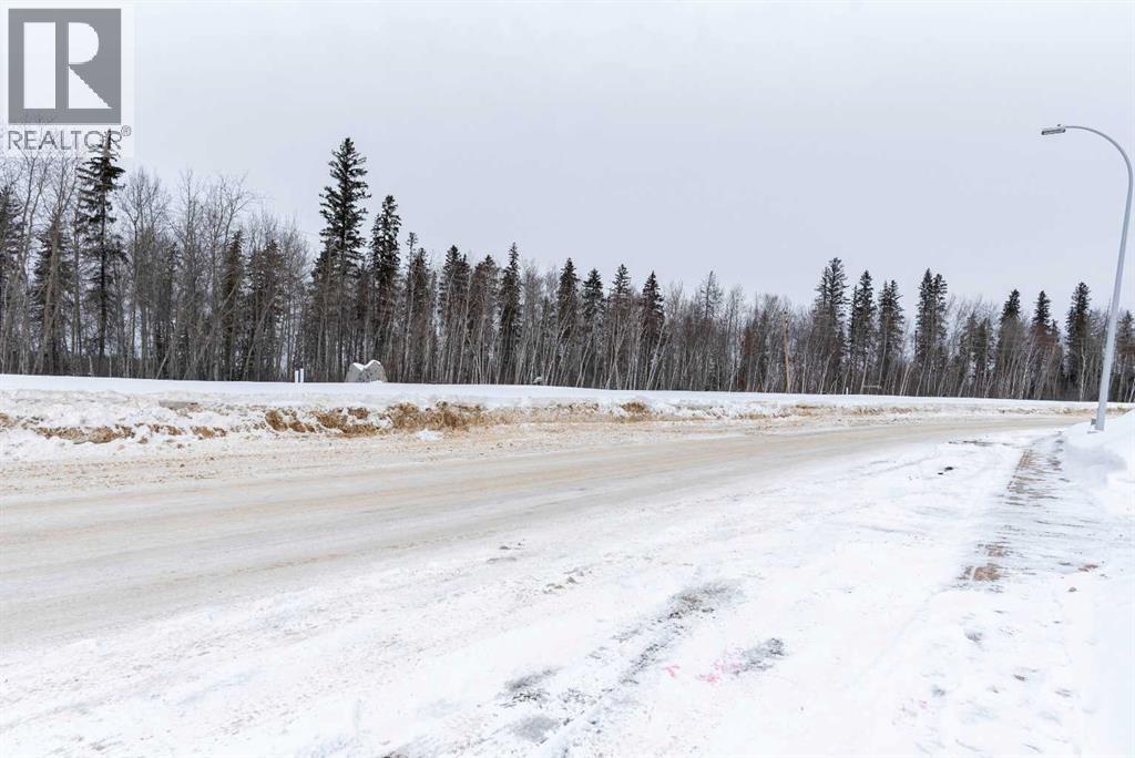 209 Woodland Drive, Fort Mcmurray, Alberta  T9K 1A4 - Photo 40 - A2296839