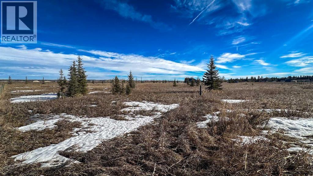 20, 6115 Township Road 325, Rural Mountain View County, Alberta  T0M 1X0 - Photo 3 - A2295244