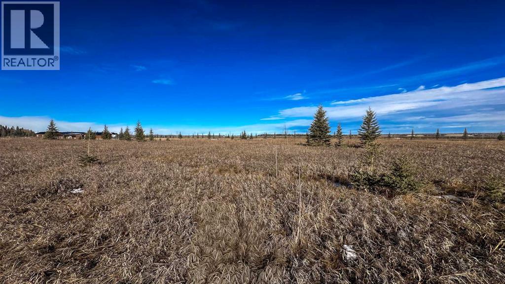 20, 6115 Township Road 325, Rural Mountain View County, Alberta  T0M 1X0 - Photo 25 - A2295244