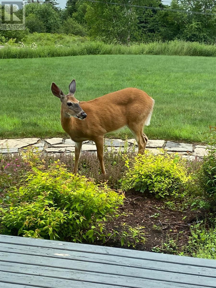 893 Two Islands Road, Parrsboro, Nova Scotia  B0M 1S0 - Photo 49 - 202606084