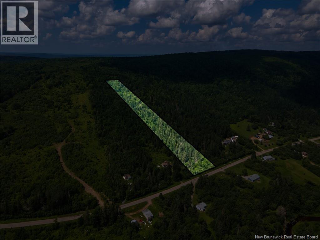 Lot Route 860 Salt Springs Road, Upham, New Brunswick  E5N 3J3 - Photo 4 - NB136367