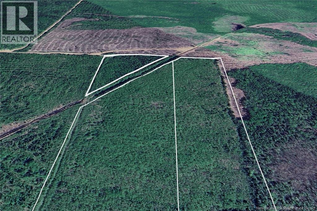 Lot Indian Lake, Ripples, New Brunswick  E4B 1B7 - Photo 5 - NB136336