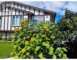 106A WELLINGTON MAIN STREET, Prince Edward County, Ontario