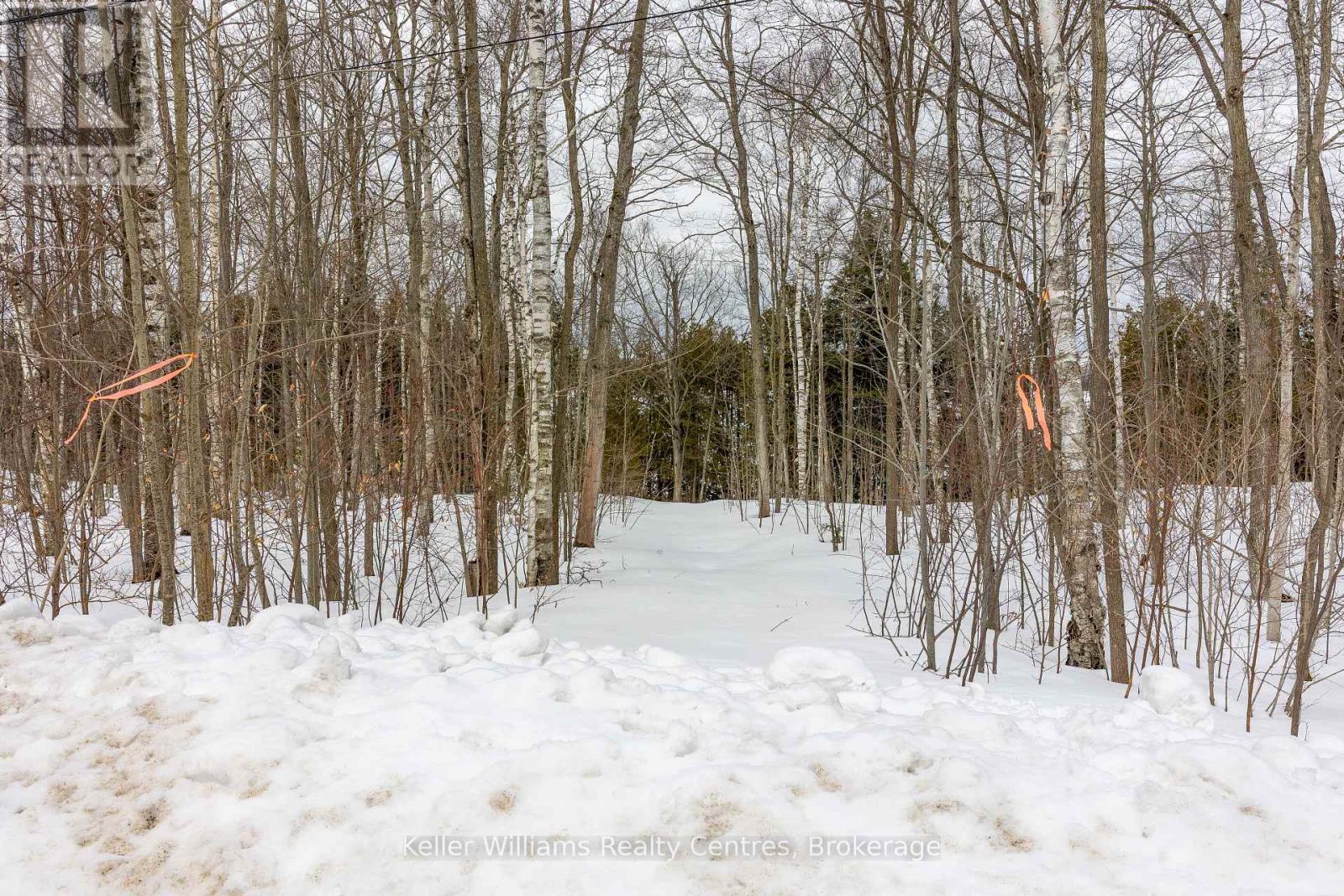 266 Tammy's Cove Road, Northern Bruce Peninsula, Ontario  N0H 1W0 - Photo 22 - X12908160