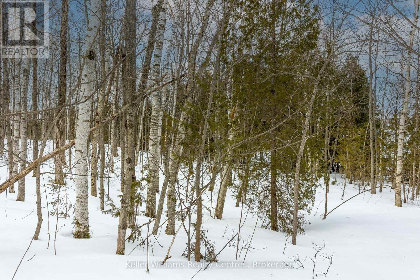 266 Tammy's Cove Road, Northern Bruce Peninsula, Ontario  N0H 1W0 - Photo 25 - X12908160