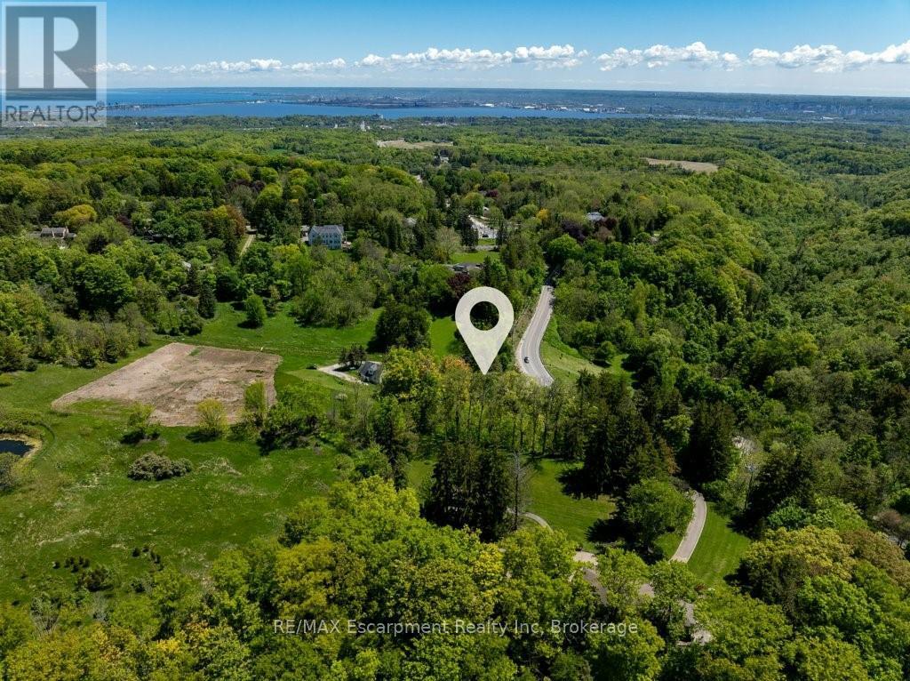 193 Mill Street S, Hamilton, Ontario  L0R 2H0 - Photo 4 - X12947142