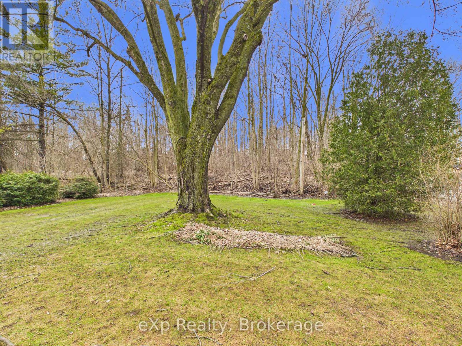 203 May Street, Brockton, Ontario  N0G 2V0 - Photo 9 - X12947146