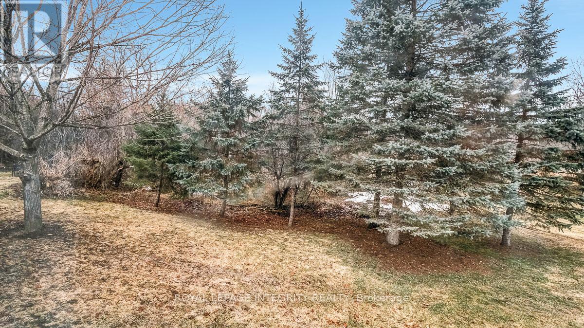 419 Brock Street E, Merrickville-Wolford, Ontario  K0G 1N0 - Photo 35 - X12947248