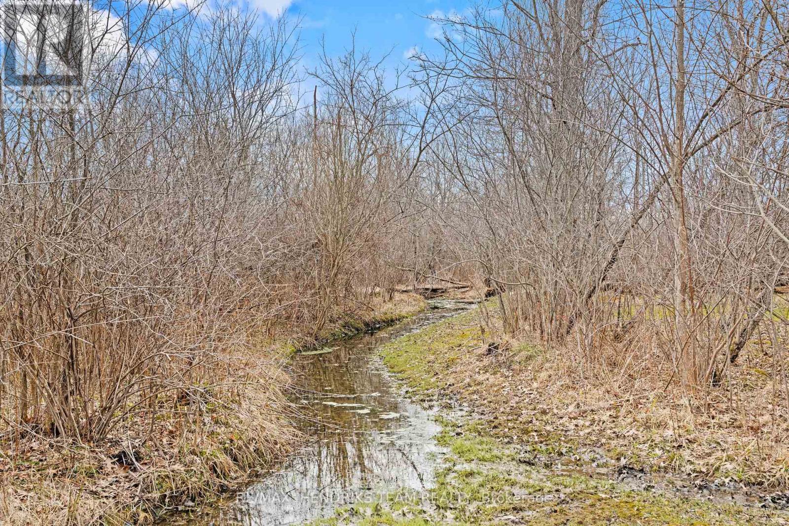 5045 Michener Road, Fort Erie, Ontario  L0S 1R0 - Photo 44 - X12947088