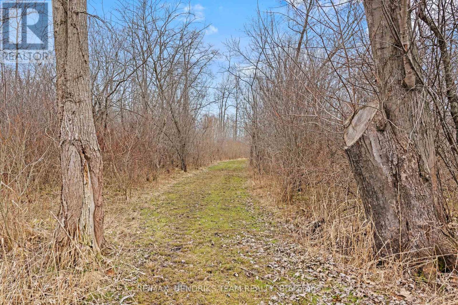 5045 Michener Road, Fort Erie, Ontario  L0S 1R0 - Photo 46 - X12947088