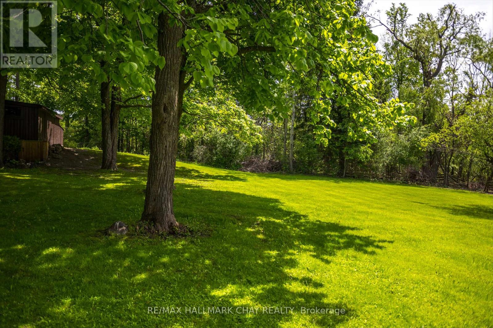 1009 Fairbairn Street, Peterborough, Ontario  K9K 1C1 - Photo 41 - X12947188