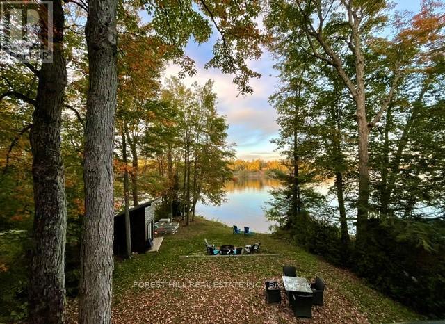 170 Hill Street, Gravenhurst, Ontario  P1P 1R2 - Photo 21 - X12947198