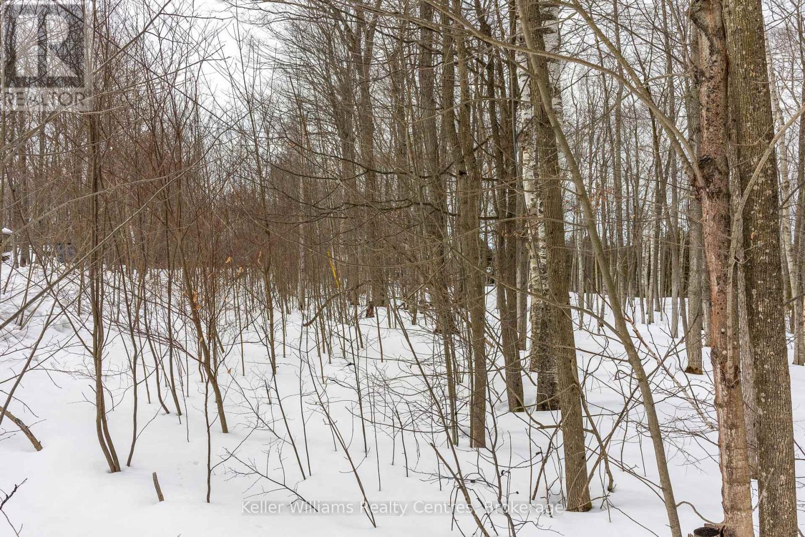 270 Tammy's Cove Road, Northern Bruce Peninsula, Ontario  N0H 1W0 - Photo 21 - X12908152