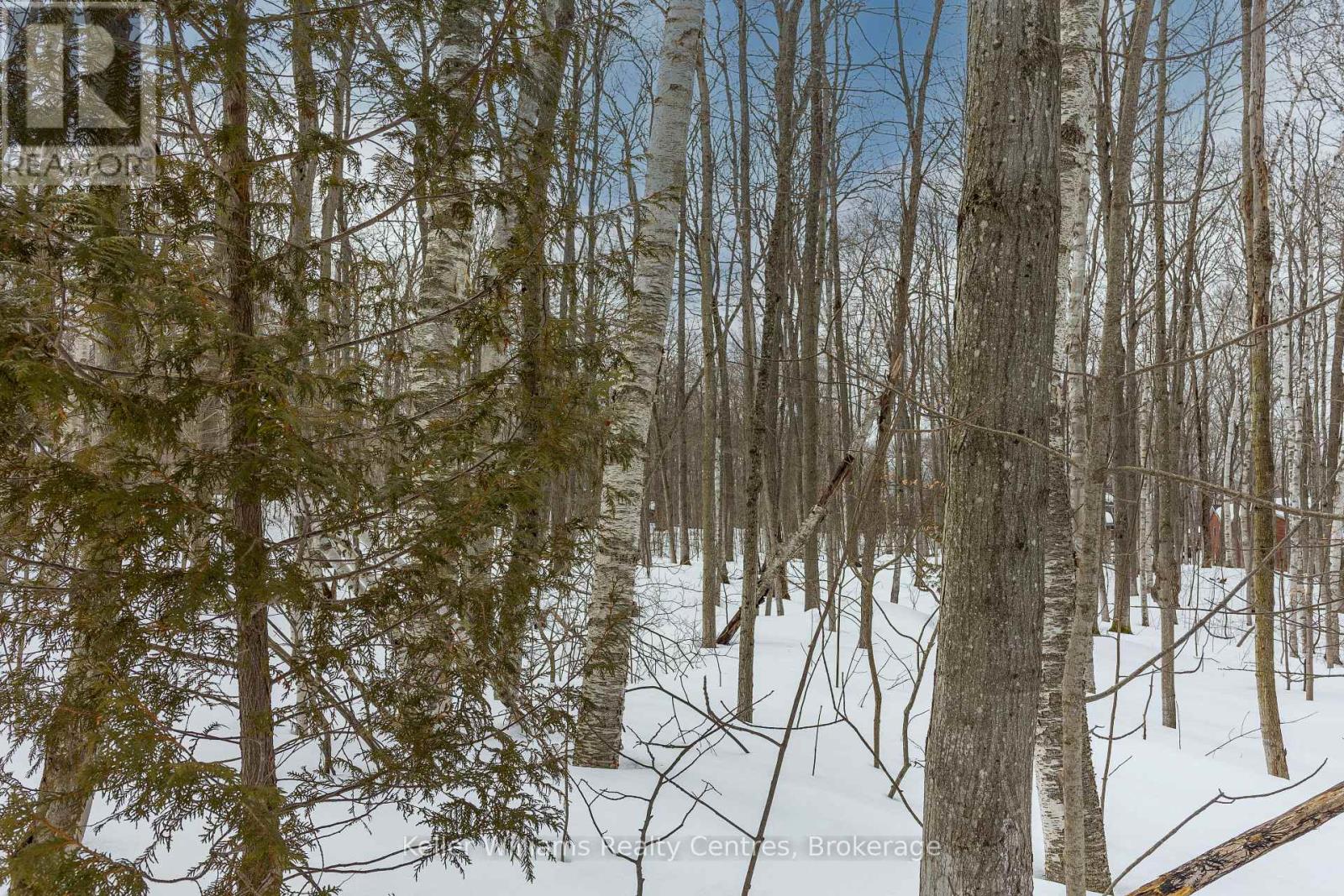 270 Tammy's Cove Road, Northern Bruce Peninsula, Ontario  N0H 1W0 - Photo 25 - X12908152