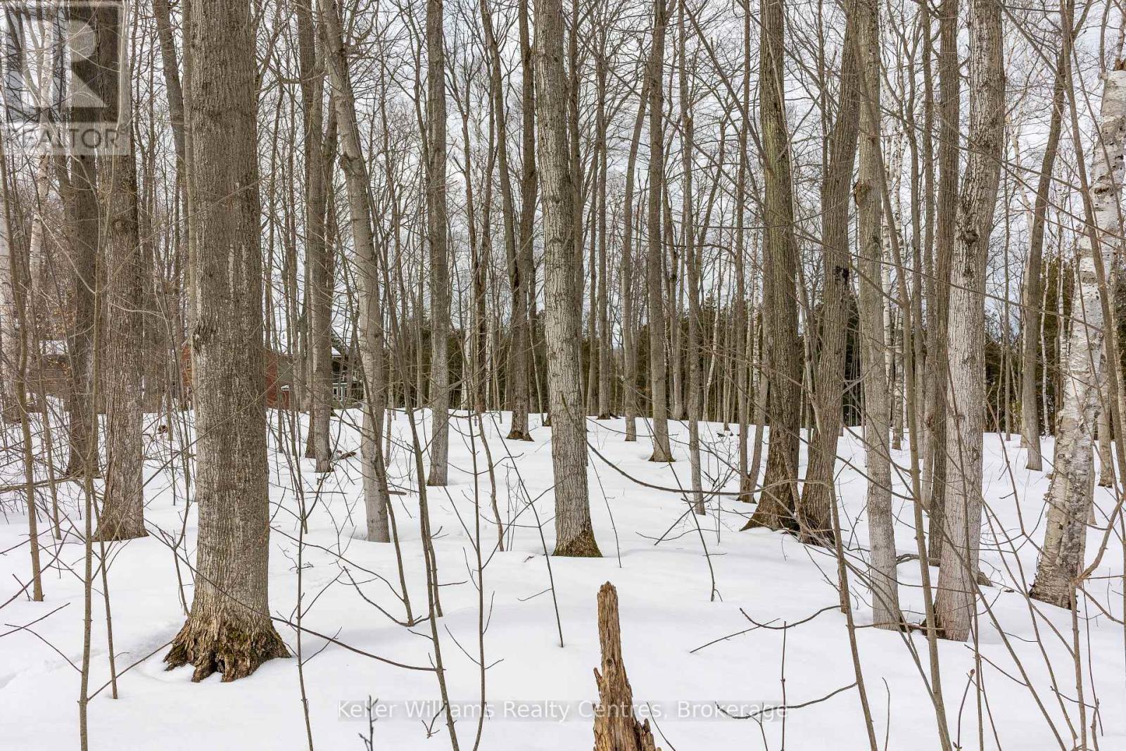 268 Tammy's Cove Road, Northern Bruce Peninsula, Ontario  N0H 1W0 - Photo 19 - X12908156